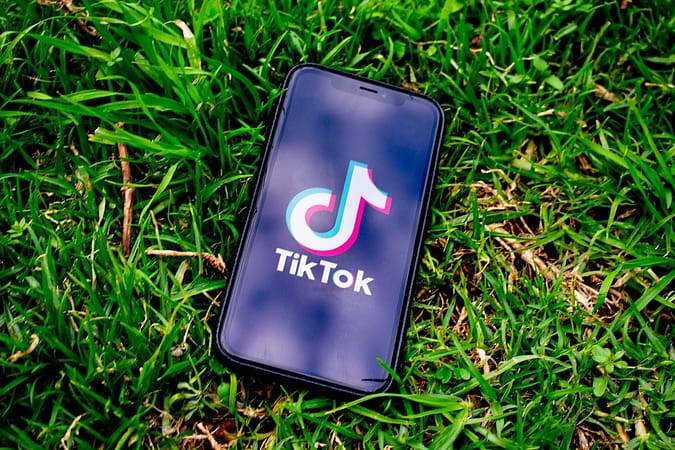Ban Chinese Apps and product : 59 Apps including Tik Tok